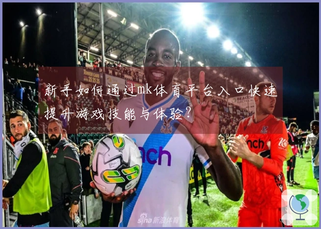 新手如何通过mk体育平台入口快速提升游戏技能与体验？